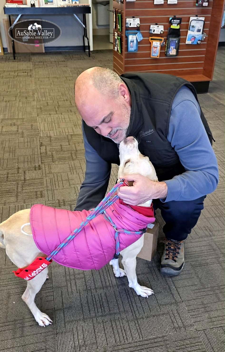 Sabrina , a Adoptable mixed breed in Grayling, MI image 6/6