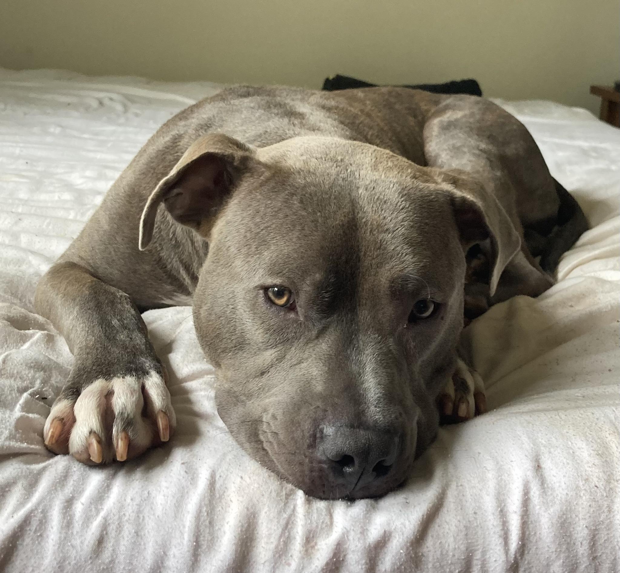 Atlas aka Diesel
