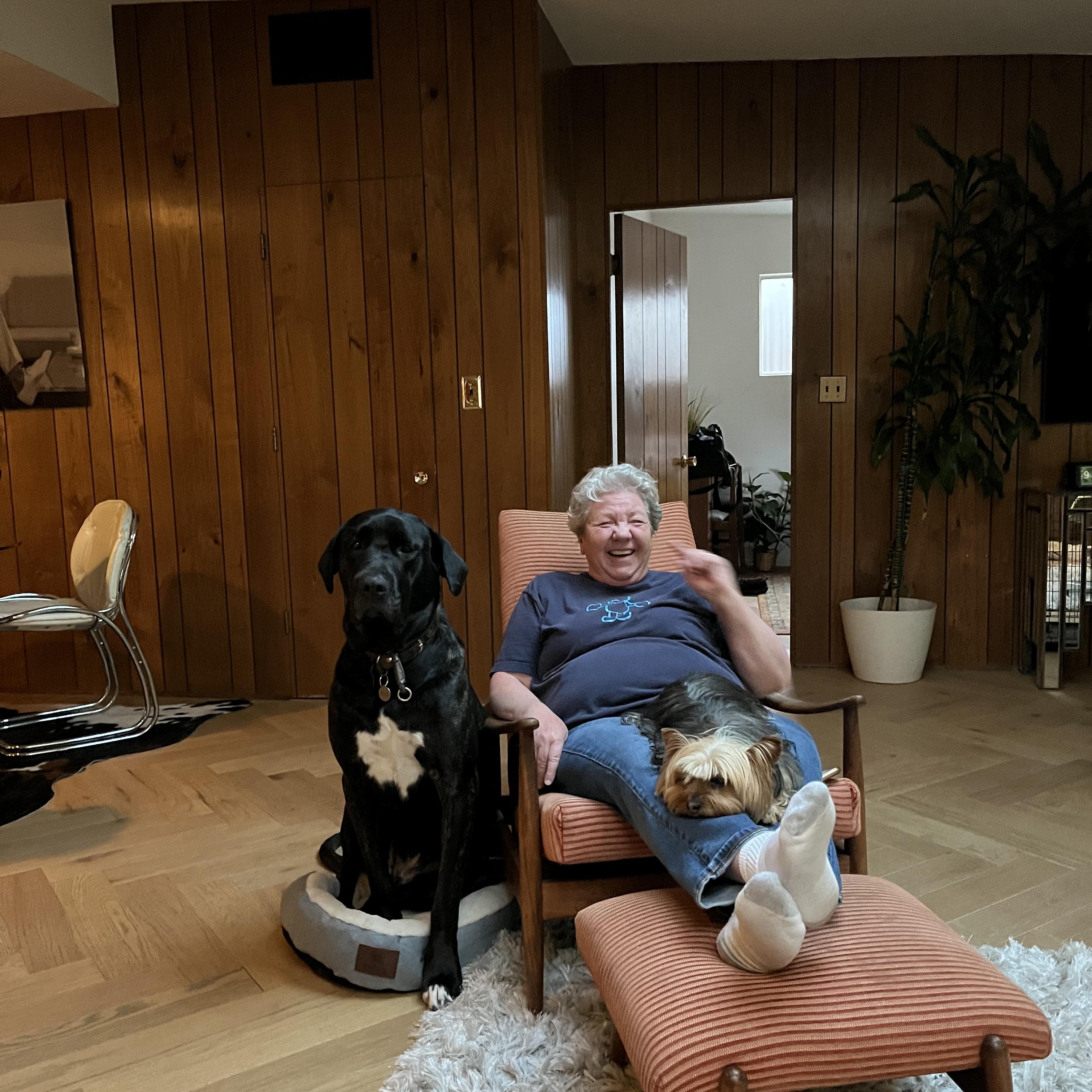 Betty, a Adoptable mixed breed in Los Angeles, CA image 4/6