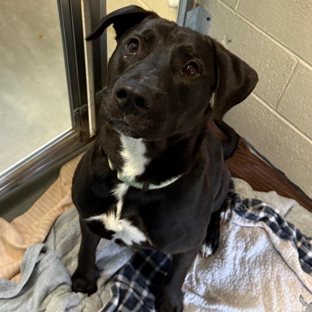 Walter — thumbnail 2