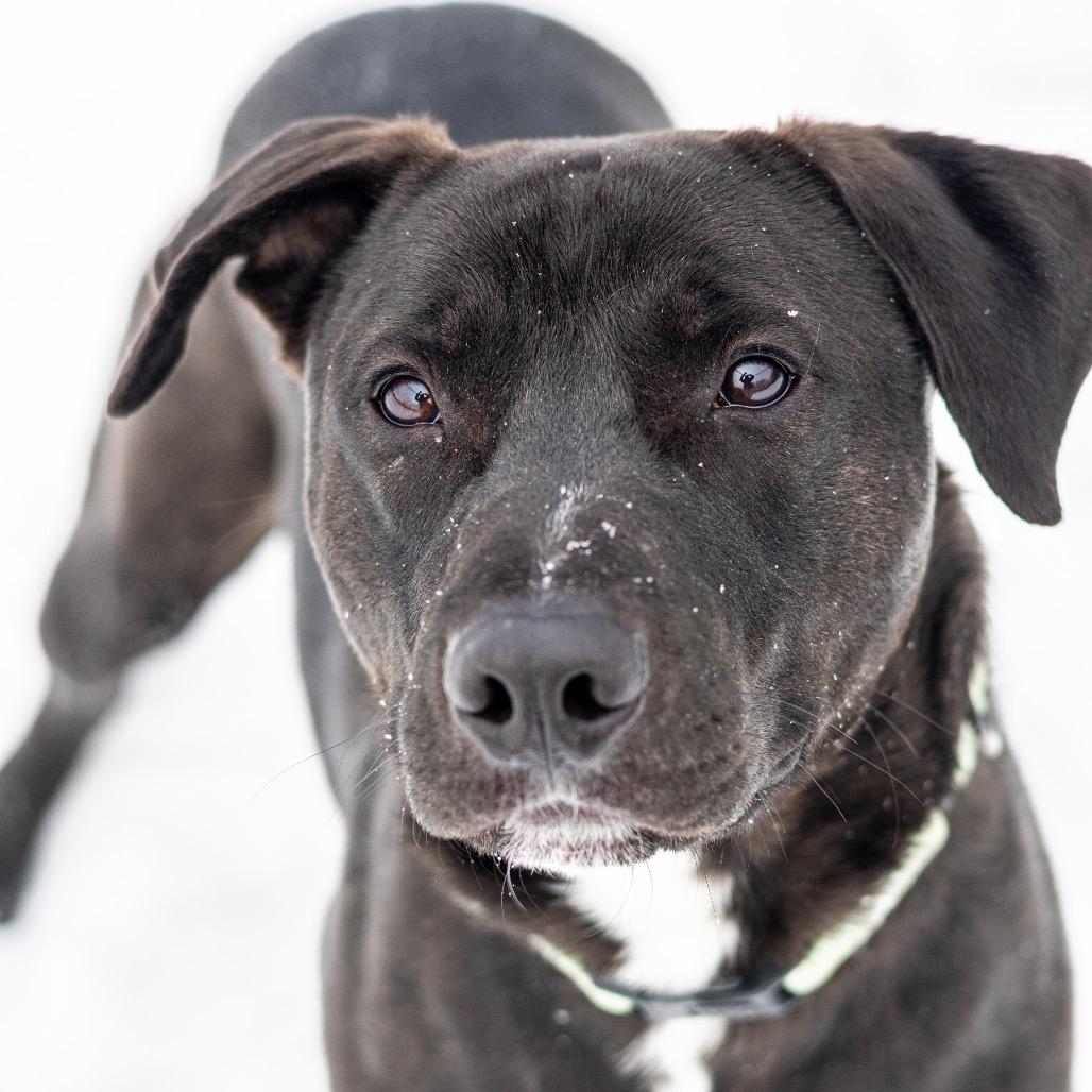 Walter — thumbnail 3