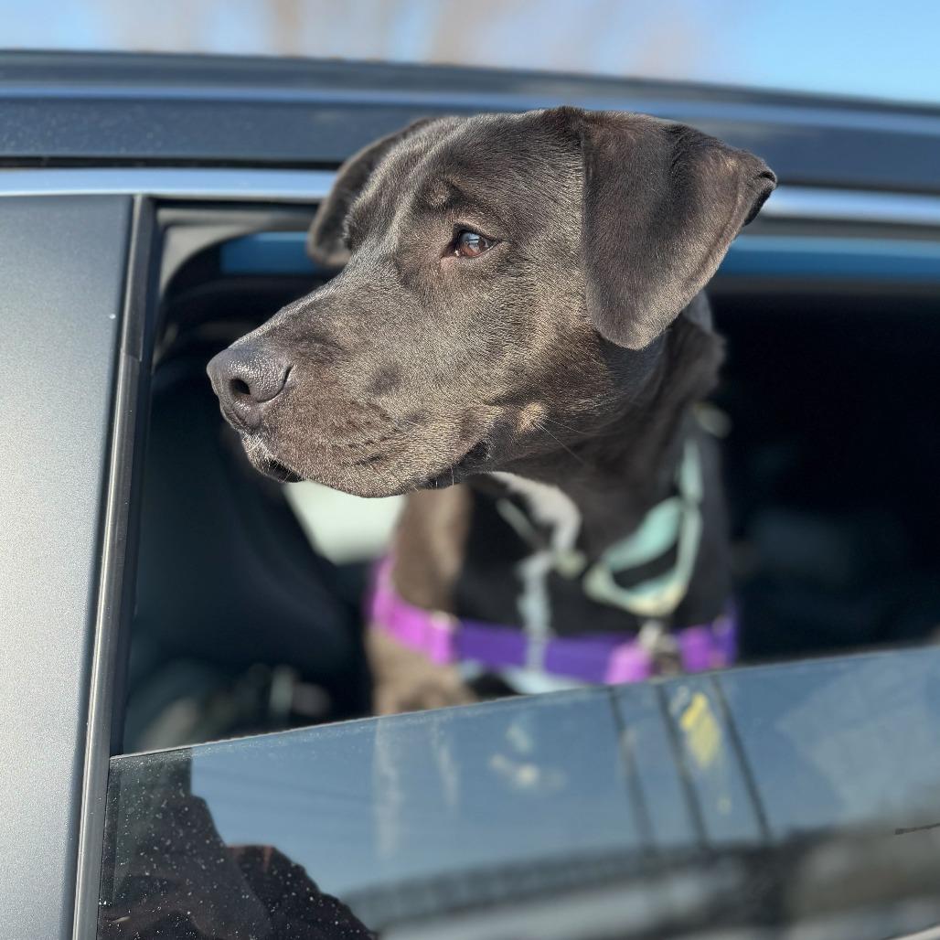 Walter — thumbnail 4