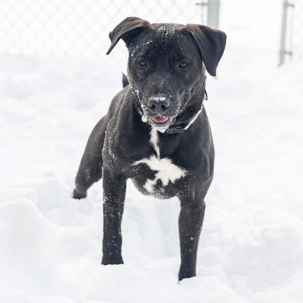 Walter — thumbnail 5