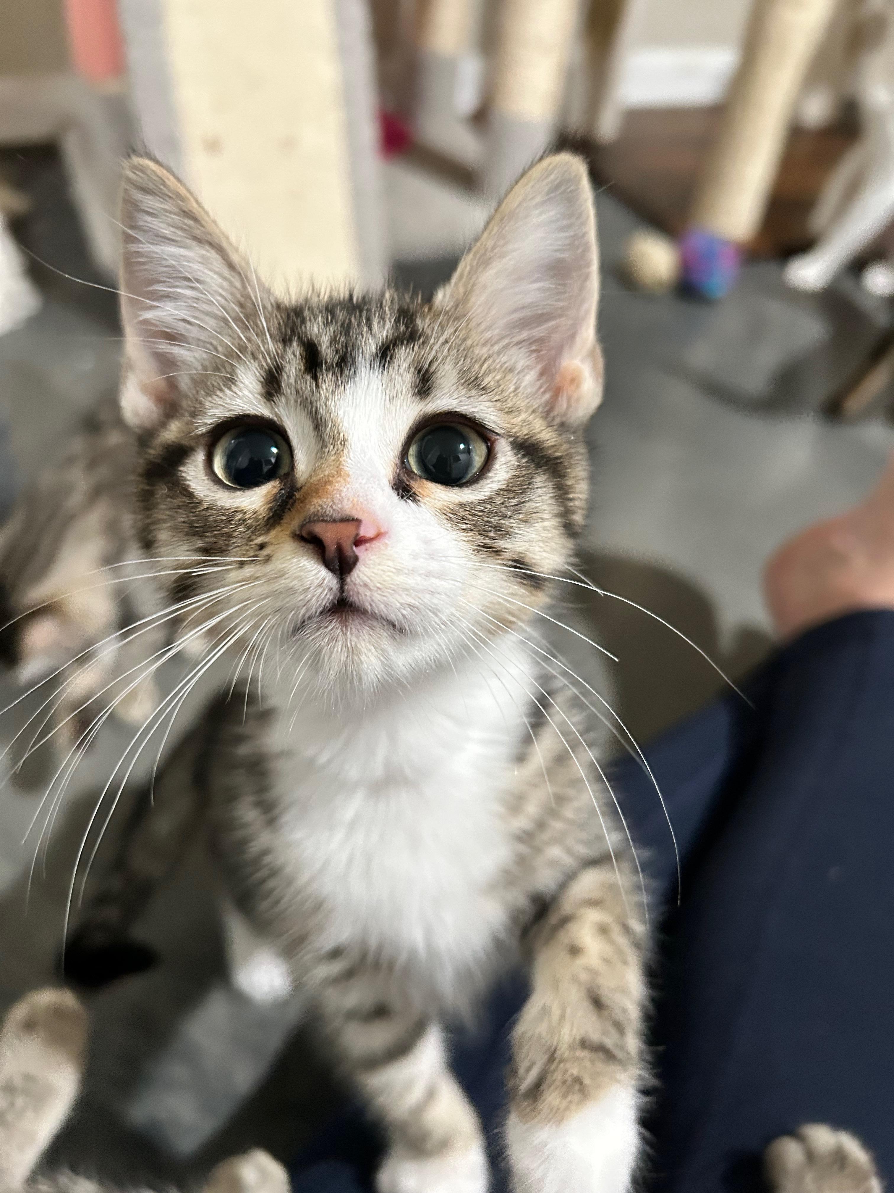 Revlon - The Glam Group