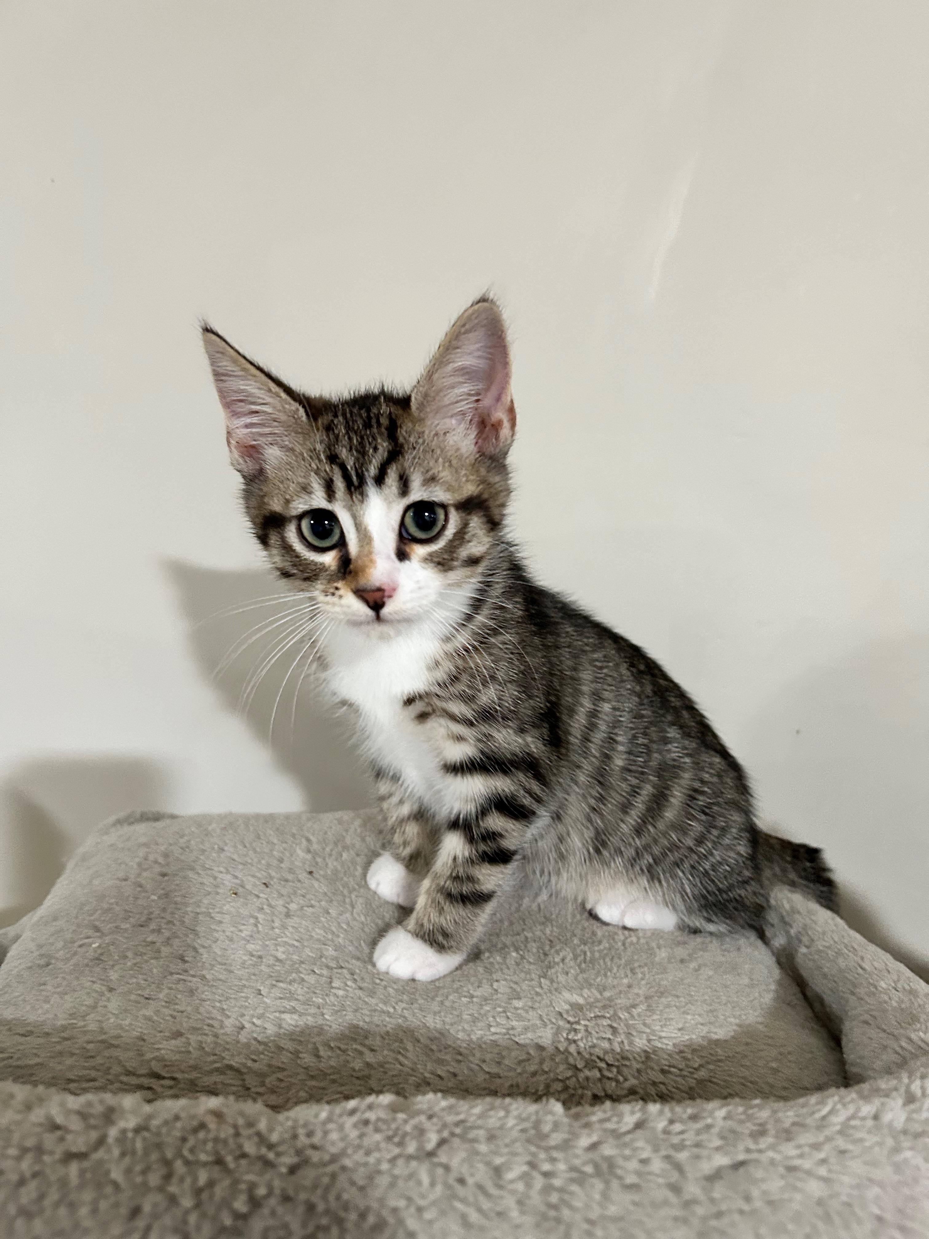 Revlon - The Glam Group