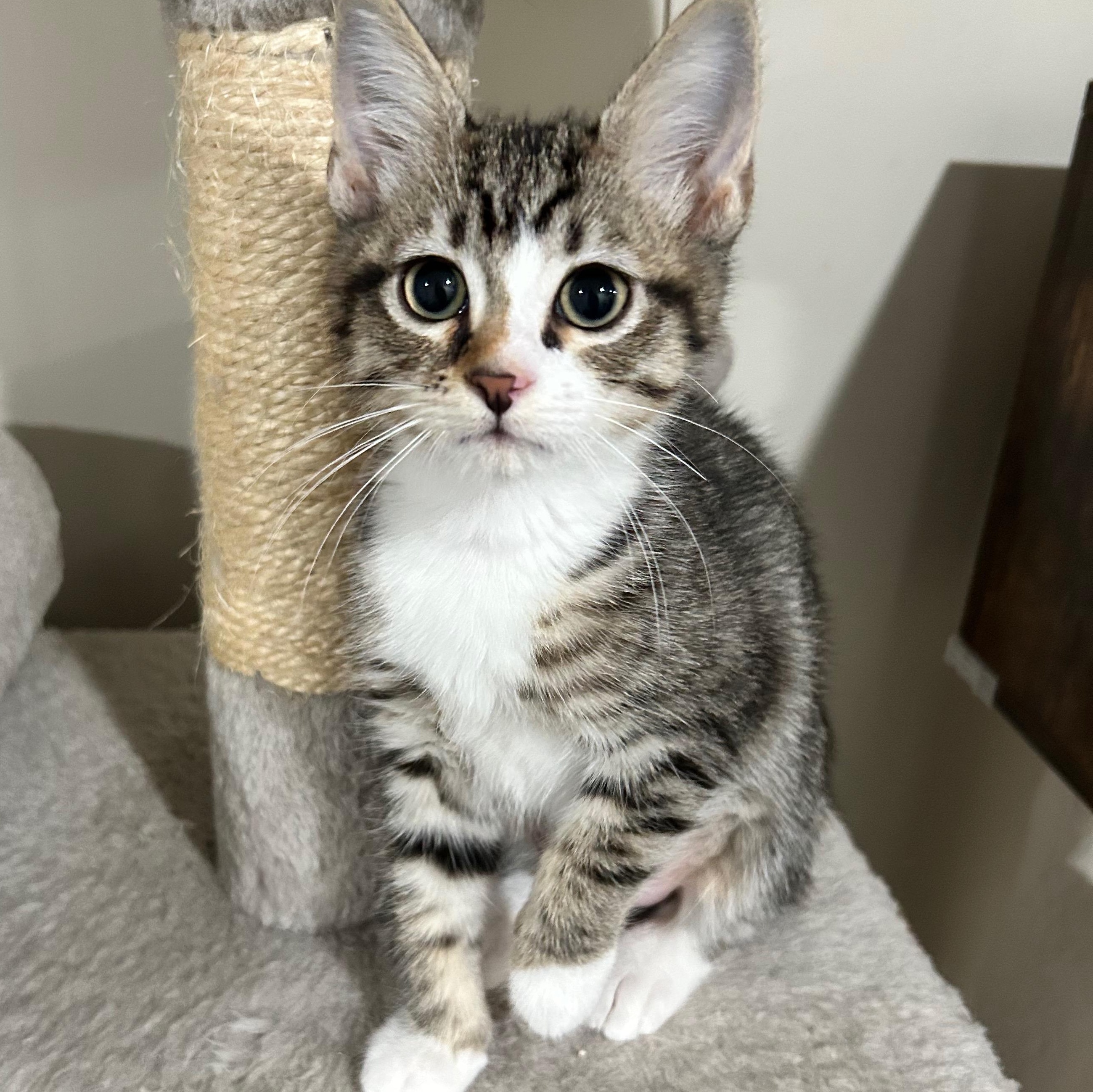 Revlon - The Glam Group