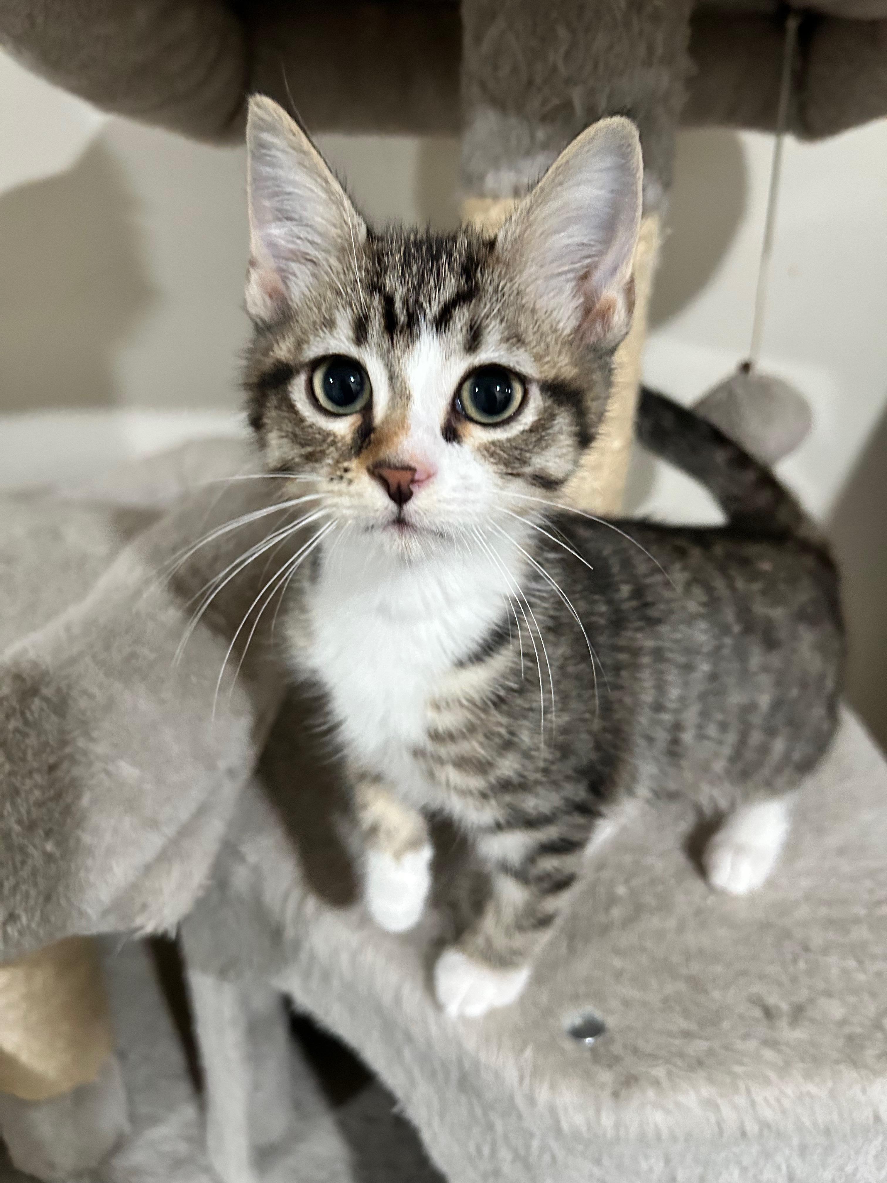 Revlon - The Glam Group