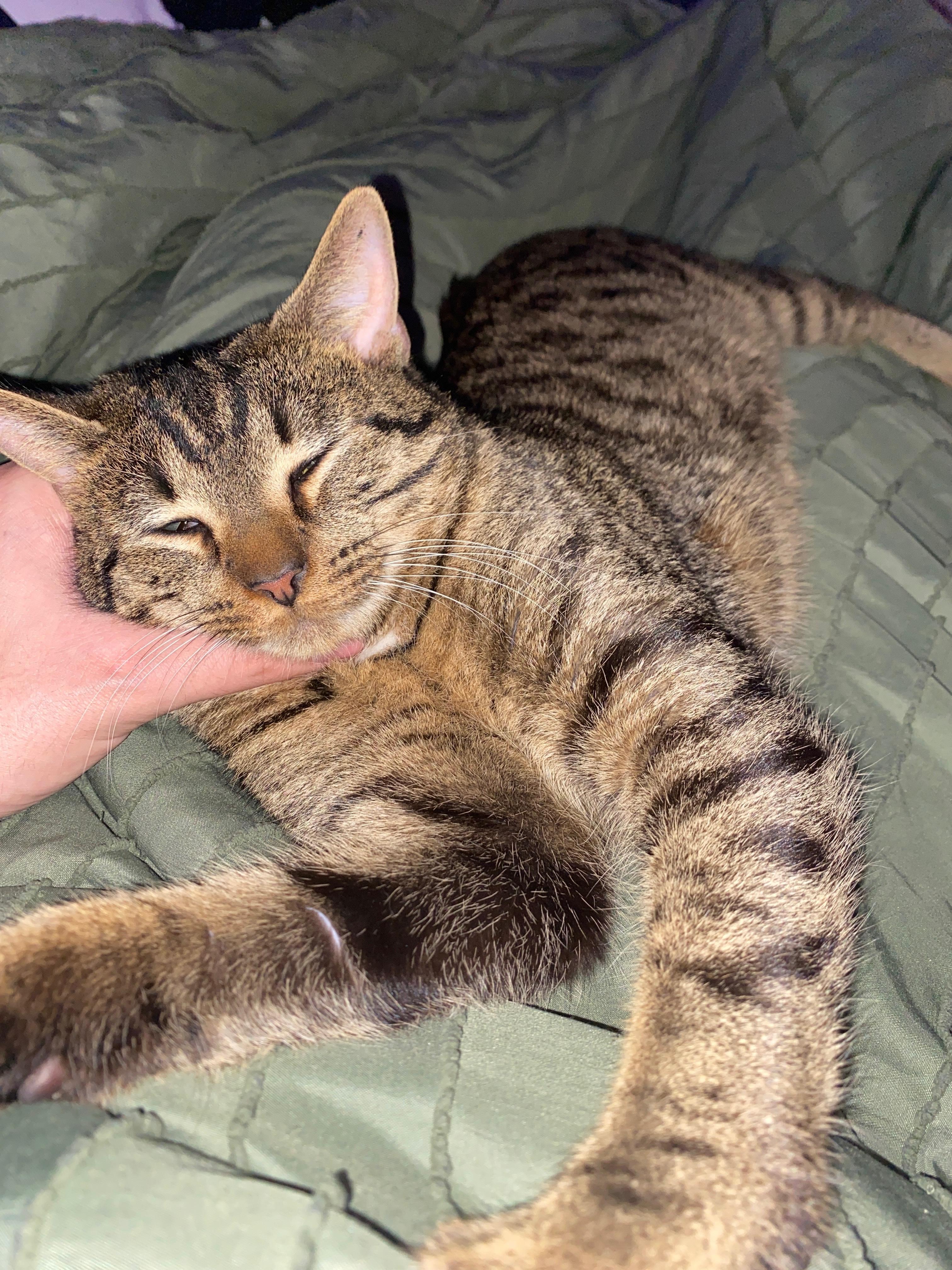 Ronaldo — thumbnail 2