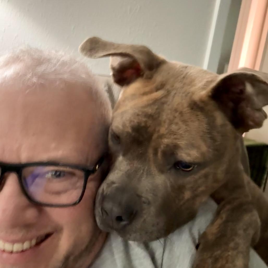 Roo, a Adoptable Pit Bull Terrier in Wichita, KS image 2/6