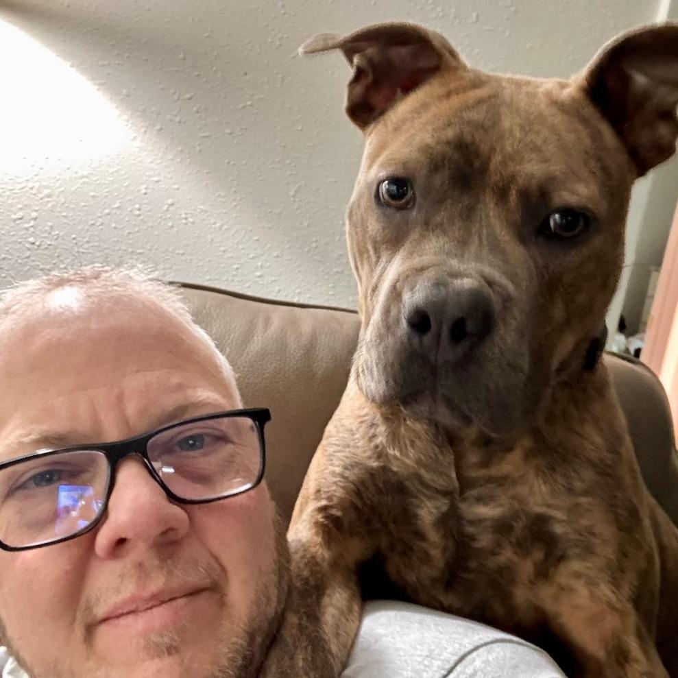 Roo, a Adoptable Pit Bull Terrier in Wichita, KS image 5/6