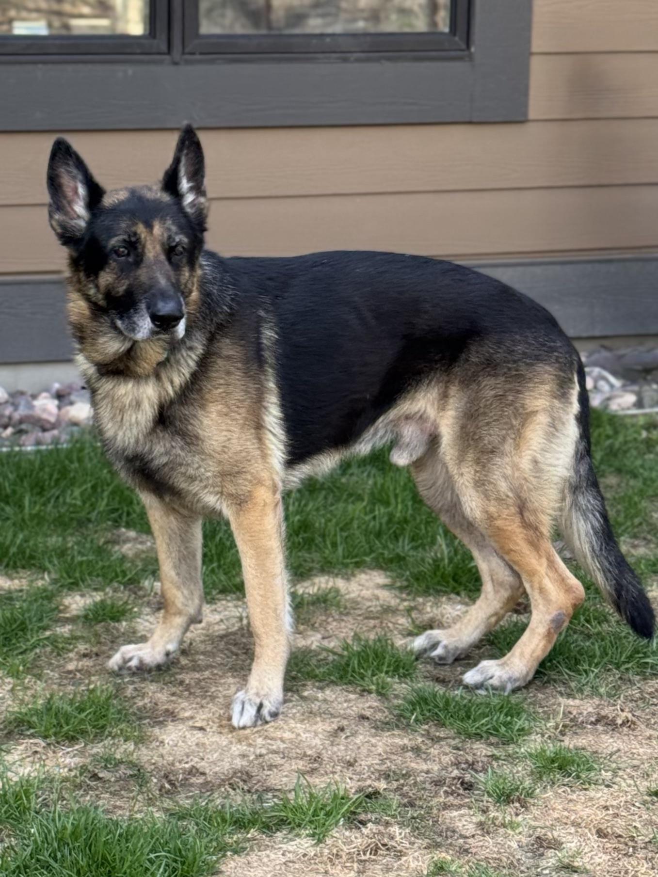 Reacher (was Tuff) photo 3