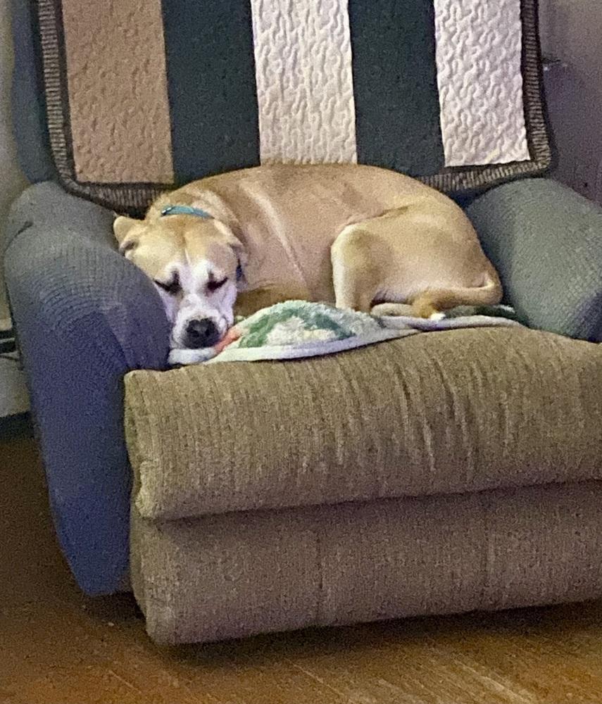 Banjo the Beautiful — thumbnail 5