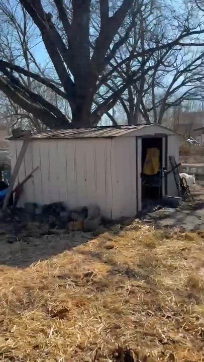 Enlarge Martha May, a ADOPTABLE mixed breed in Manhattan, KS video 6/6