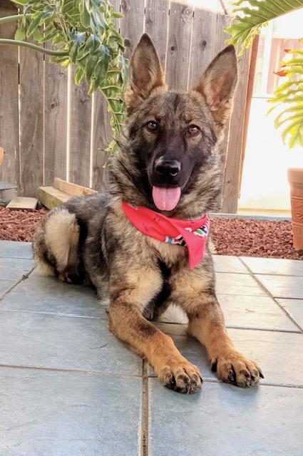 Jayla, Young Female unknown
