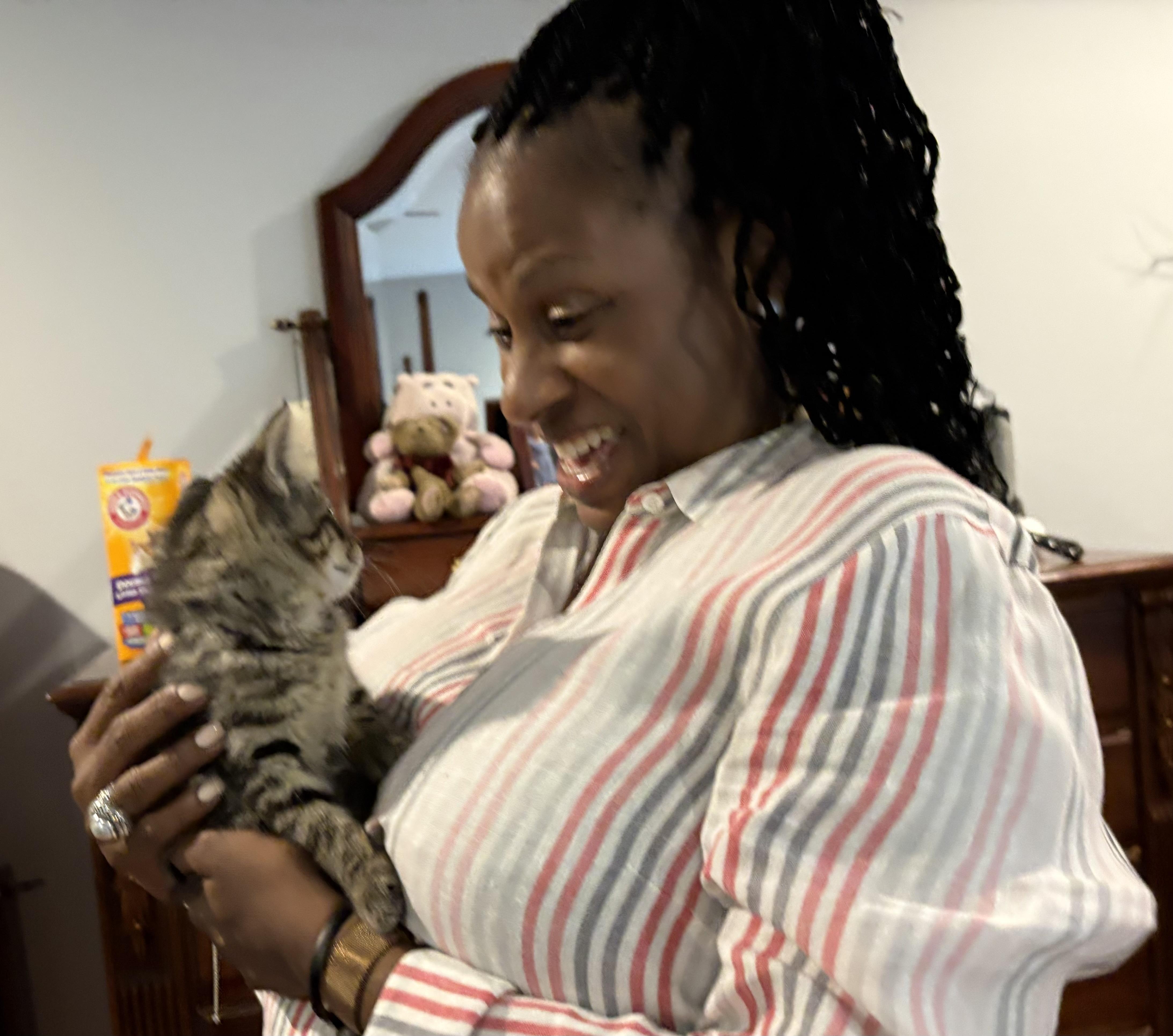 Enlarge Daisy, a Adoptable Domestic Short Hair in Moorestown, NJ image 6/6