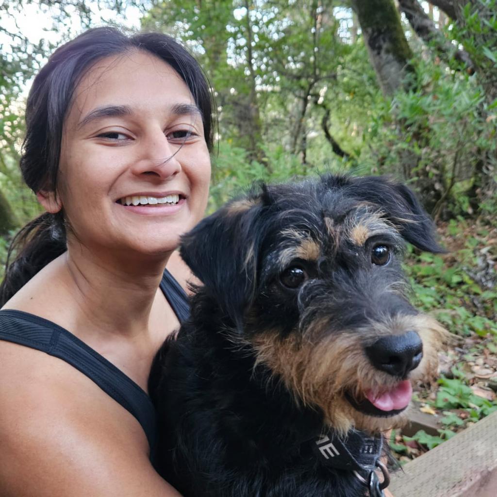 Enlarge ORVILLE, a Adoptable Terrier in Point Richmond, CA image 3/6