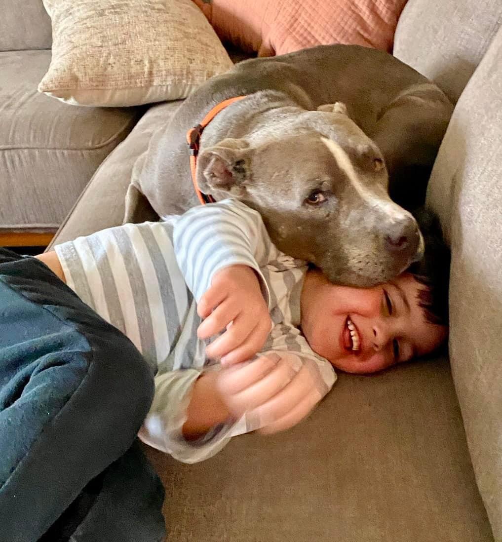 NANI, a Adoptable mixed breed in Thousand Oaks, CA image 6/6