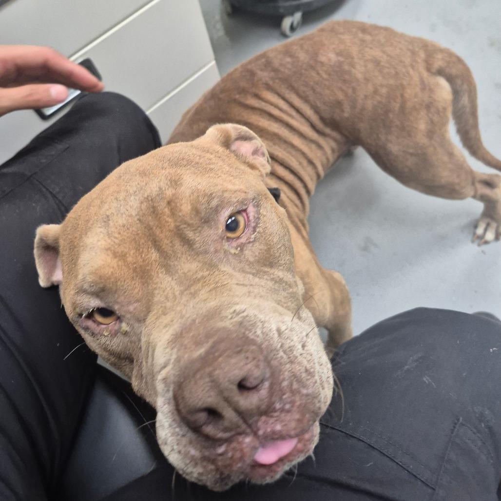 Typhon 2999 — thumbnail 2