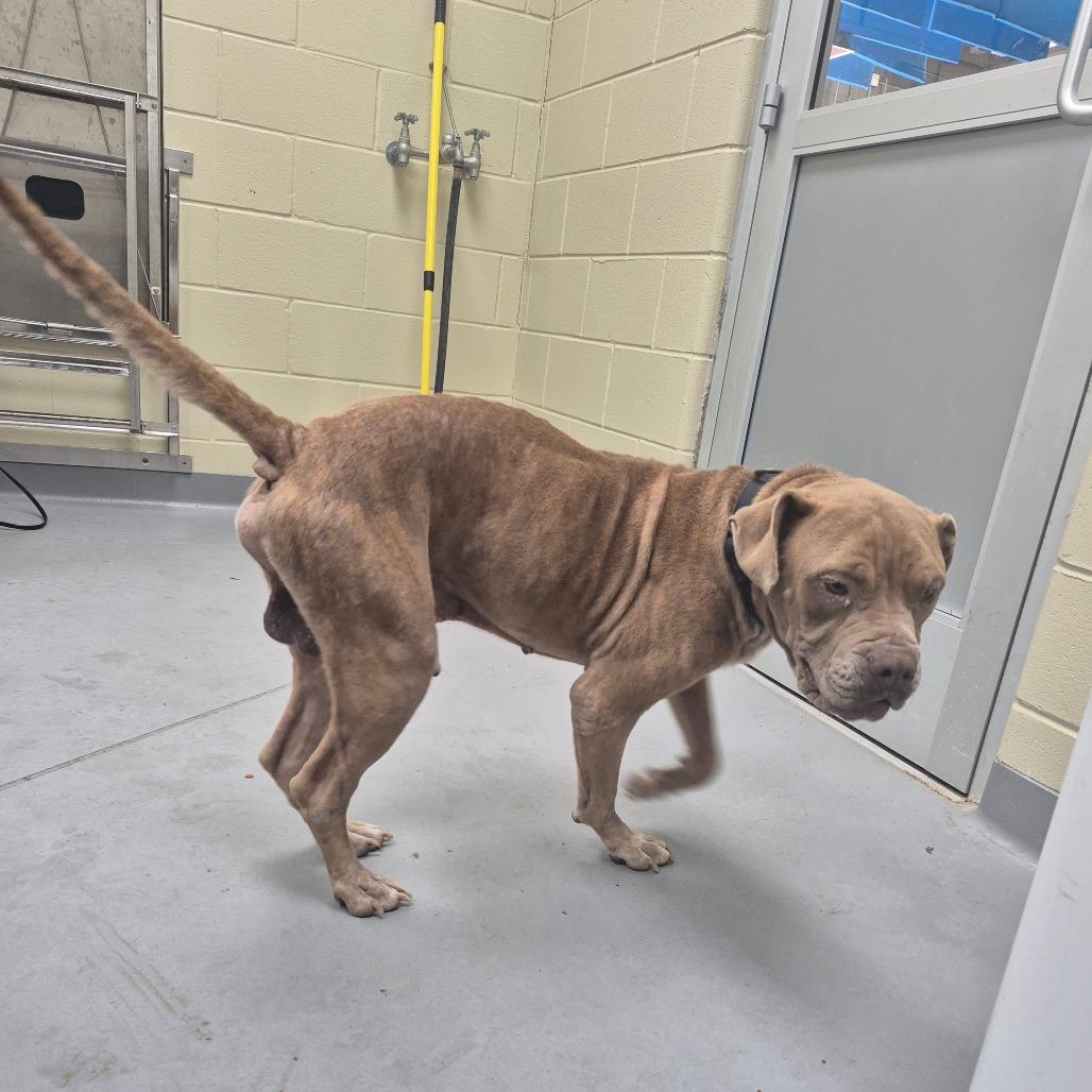 Typhon 2999 — thumbnail 3