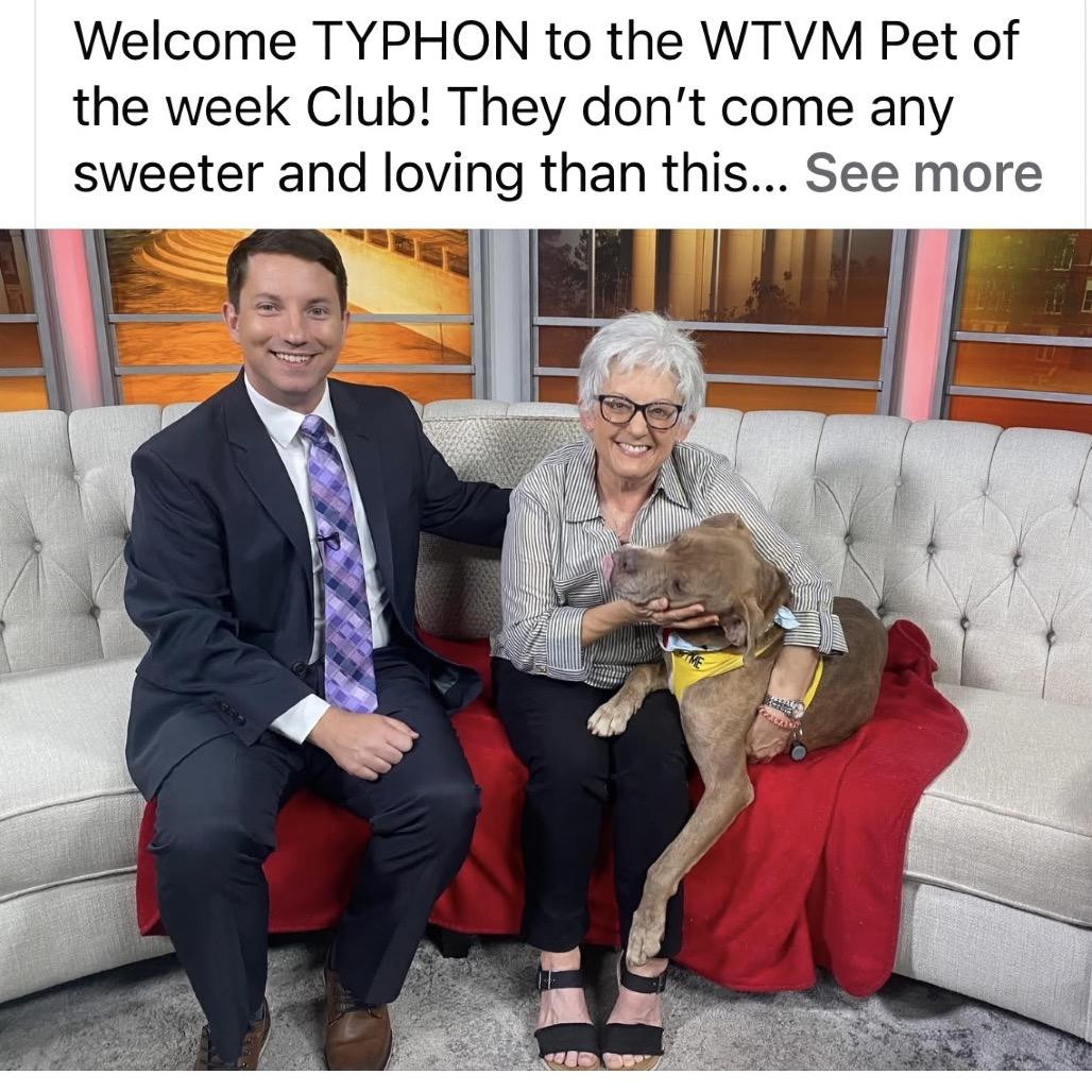 Enlarge Typhon 2999, a Adoptable Mixed Breed in Columbus, GA image 3/6