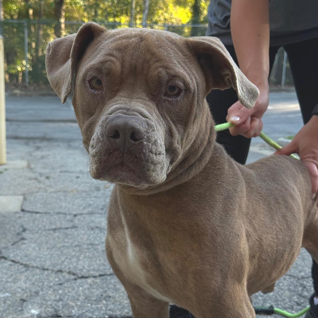 Typhon 2999 — thumbnail 4