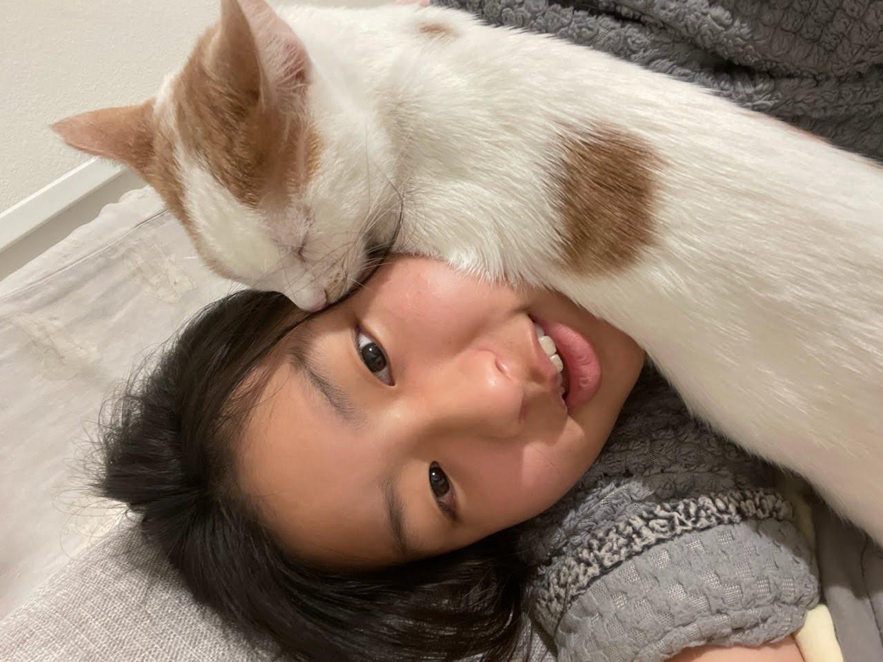 Pieter, a Adoptable mixed breed in Santa Monica, CA image 4/6