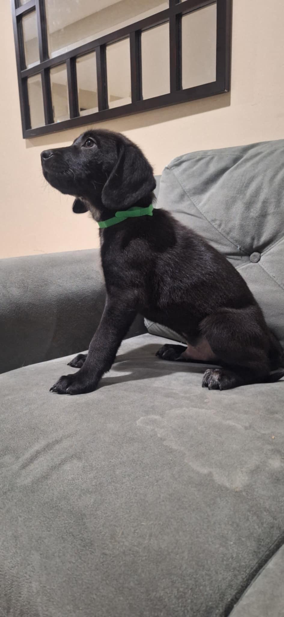 Onyx