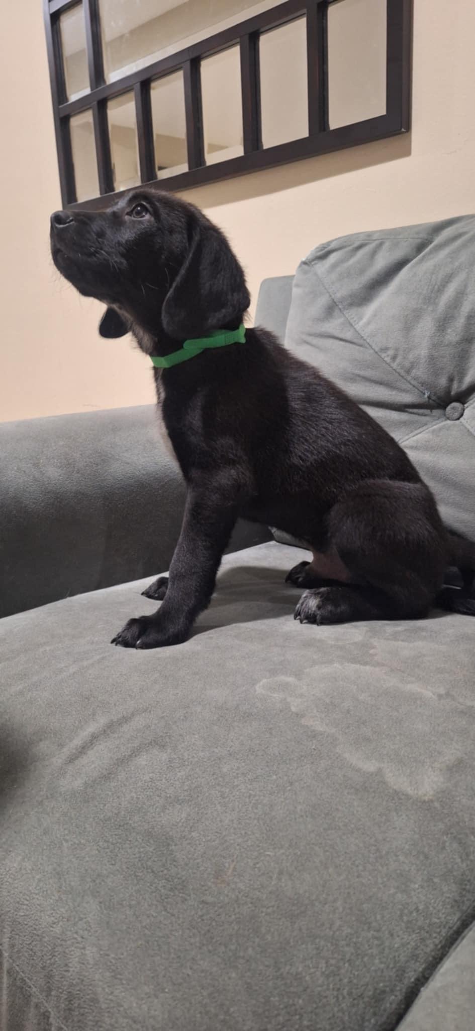 Onyx