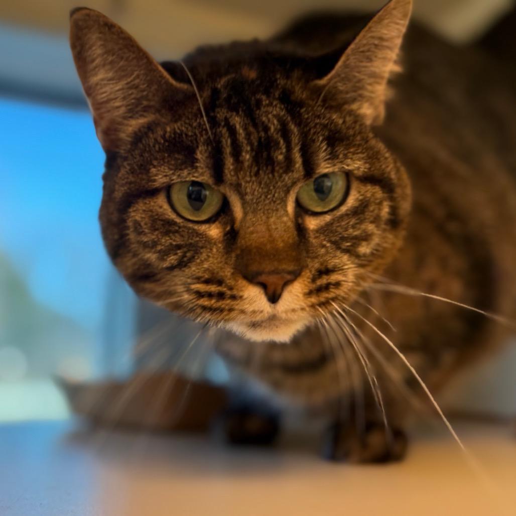 Molly — thumbnail 2