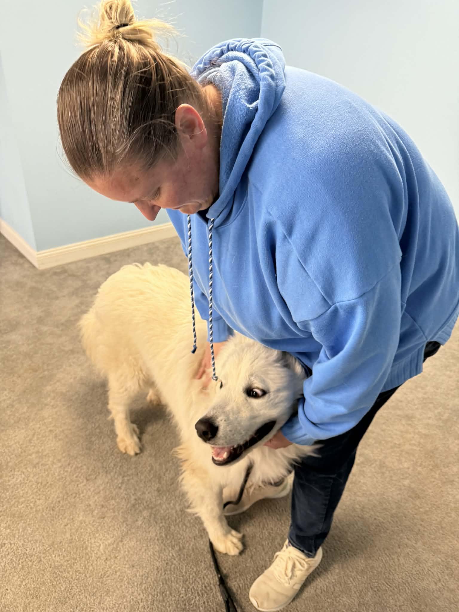 Enlarge Malachi, a ADOPTABLE Great Pyrenees in East Haddam, CT image 3/6