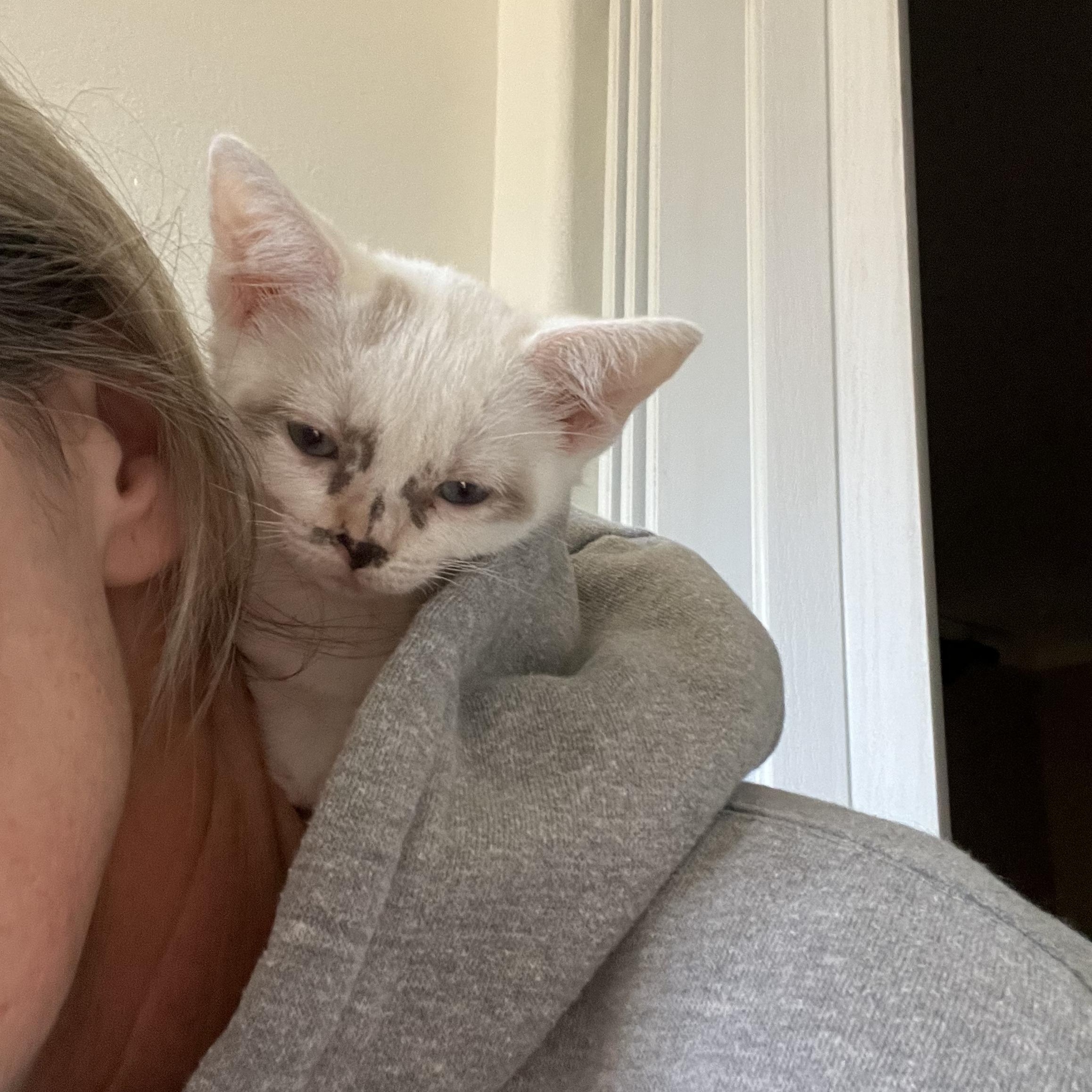 Snow White — thumbnail 4