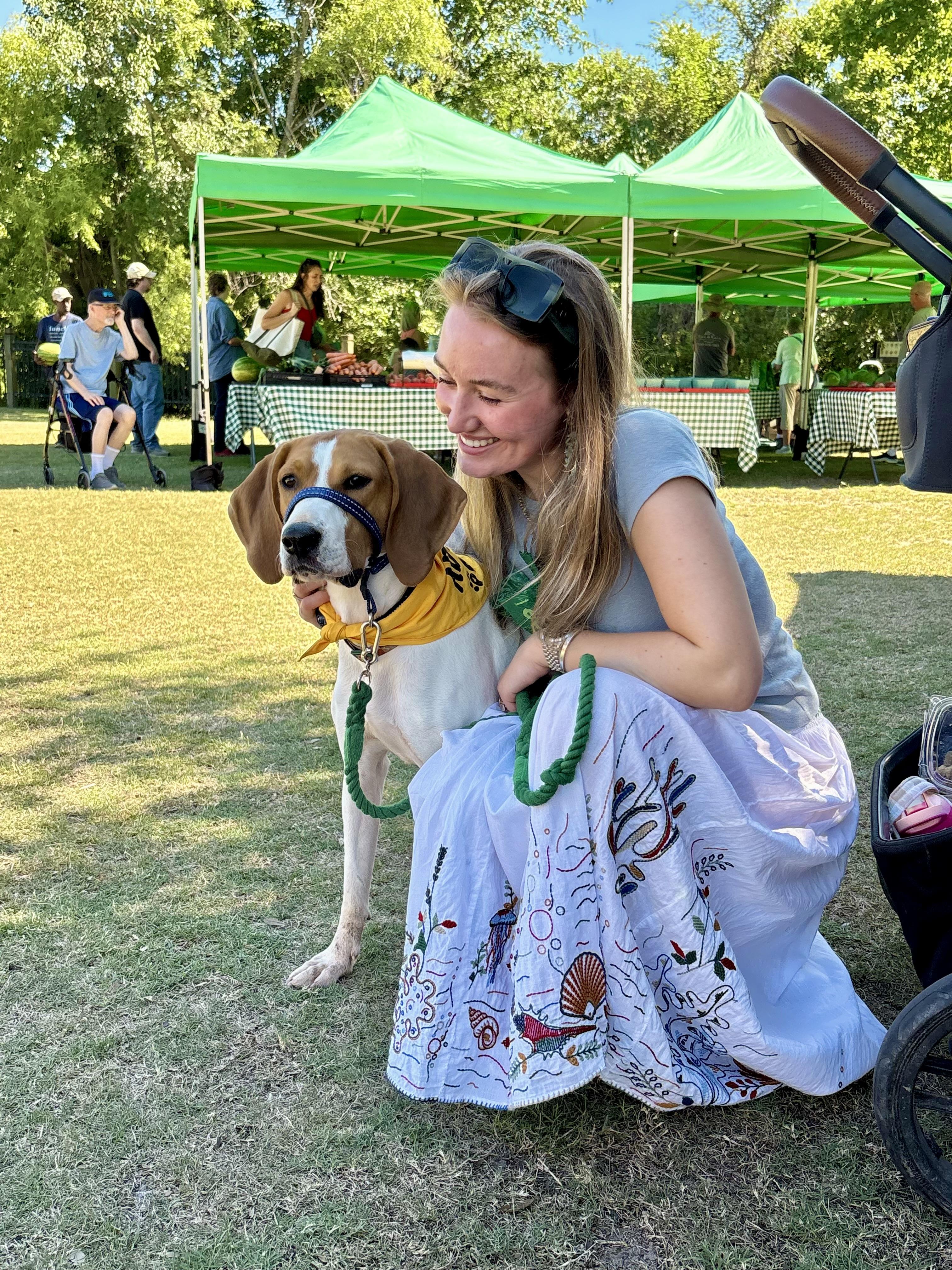 Mango, a ADOPTABLE Treeing Walker Coonhound in Johns Island , SC image 2/6