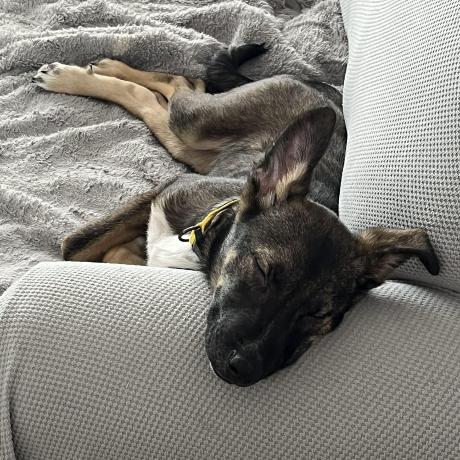 Uno (20251204-02) — thumbnail 2