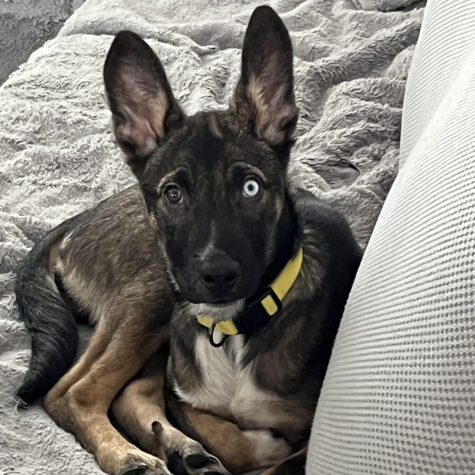 Uno (20251204-02) — thumbnail 5