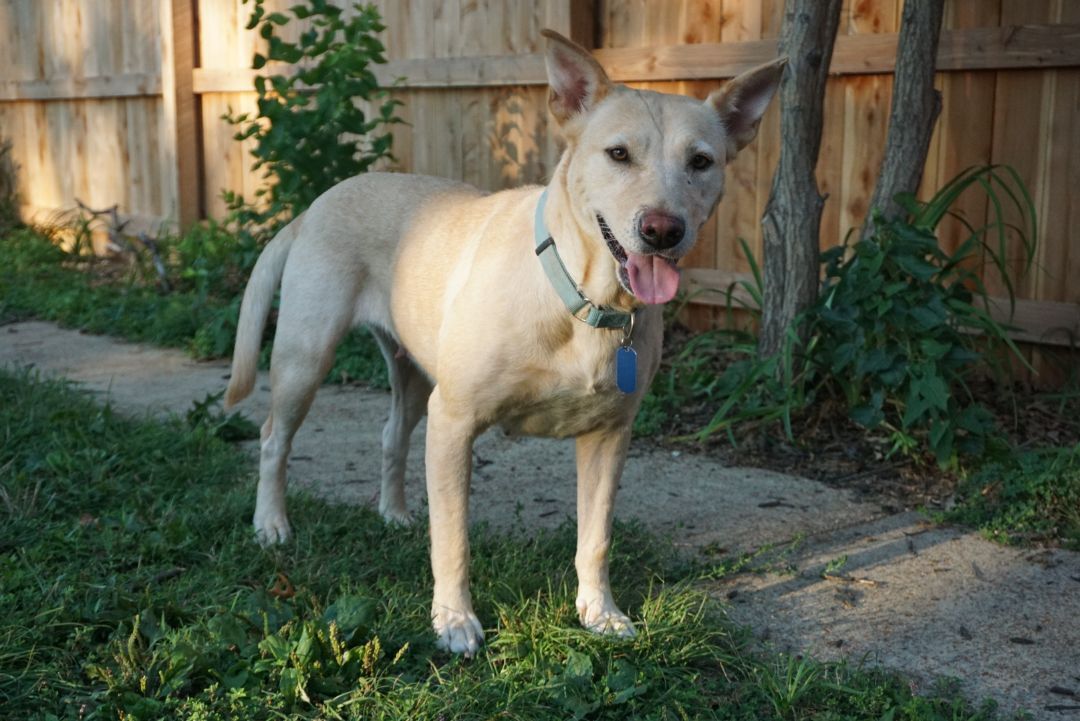 Prudence photo 3