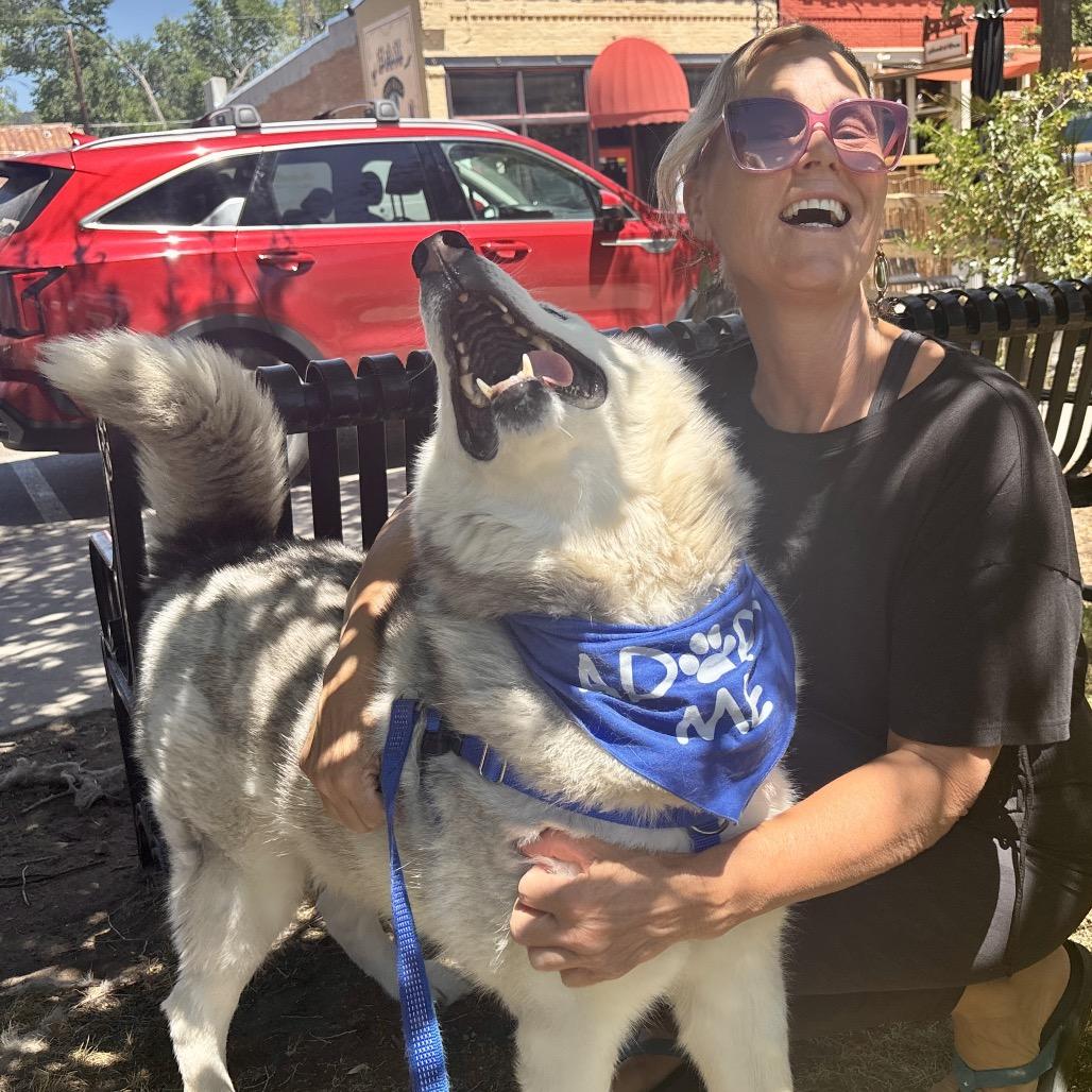 Enlarge Blue, a Adoptable mixed breed in Glenwood Springs, CO image 3/6