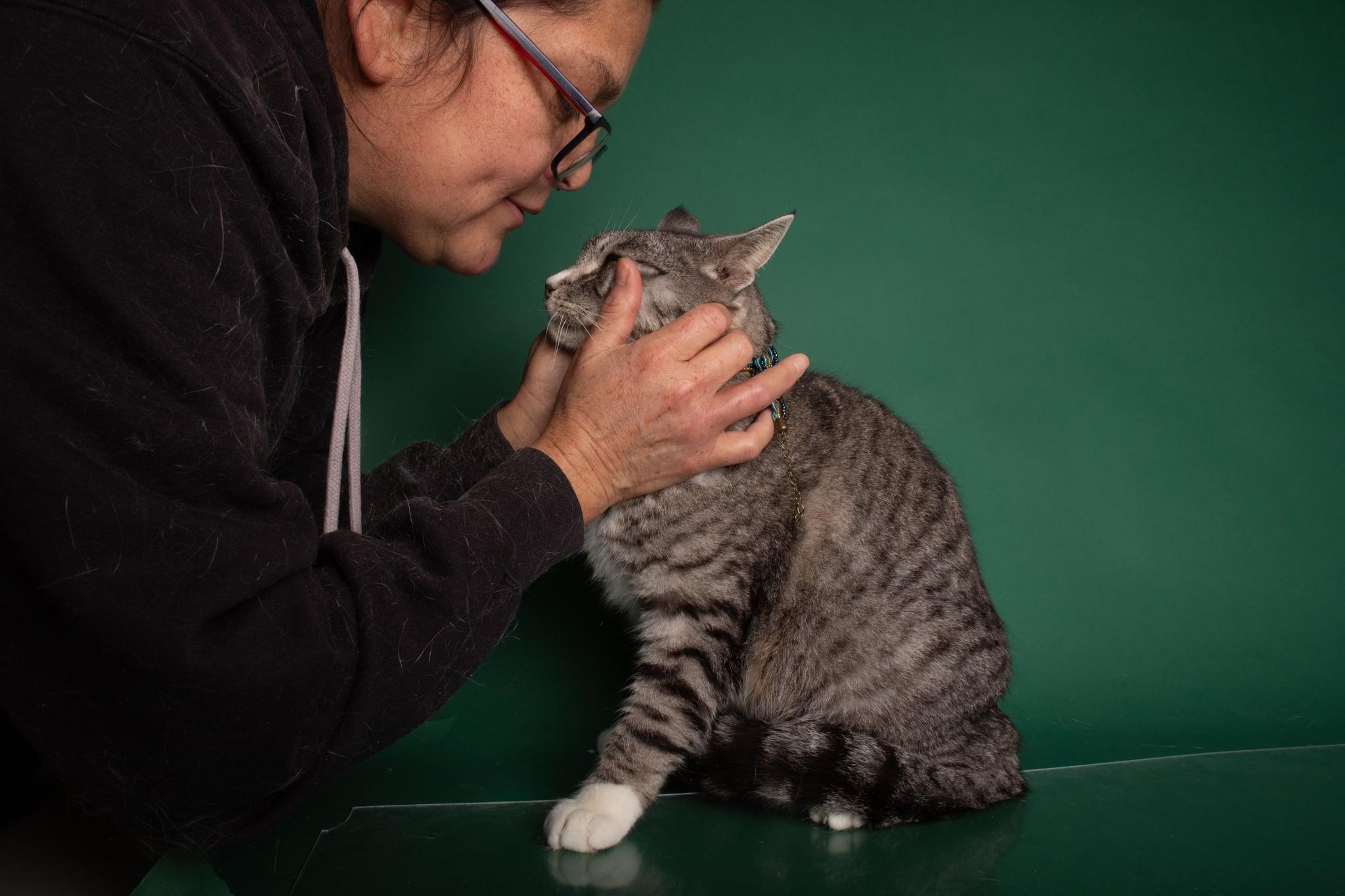 Enlarge SANJI, a Adoptable mixed breed in HEMET, CA image 5/5