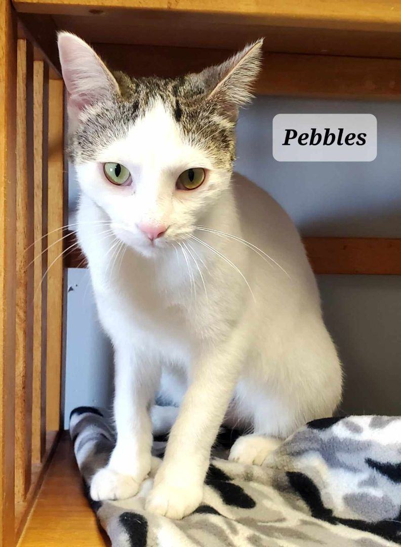Pebbles