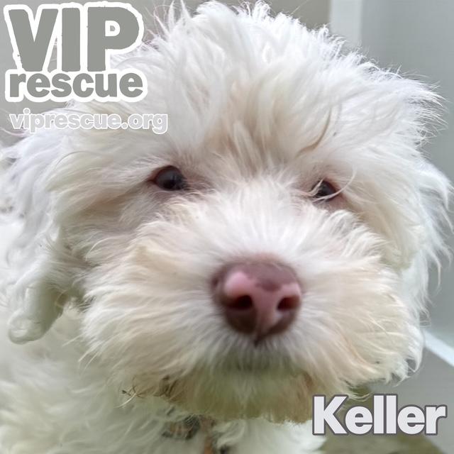 Keller  Redington Beach thumbnail 2