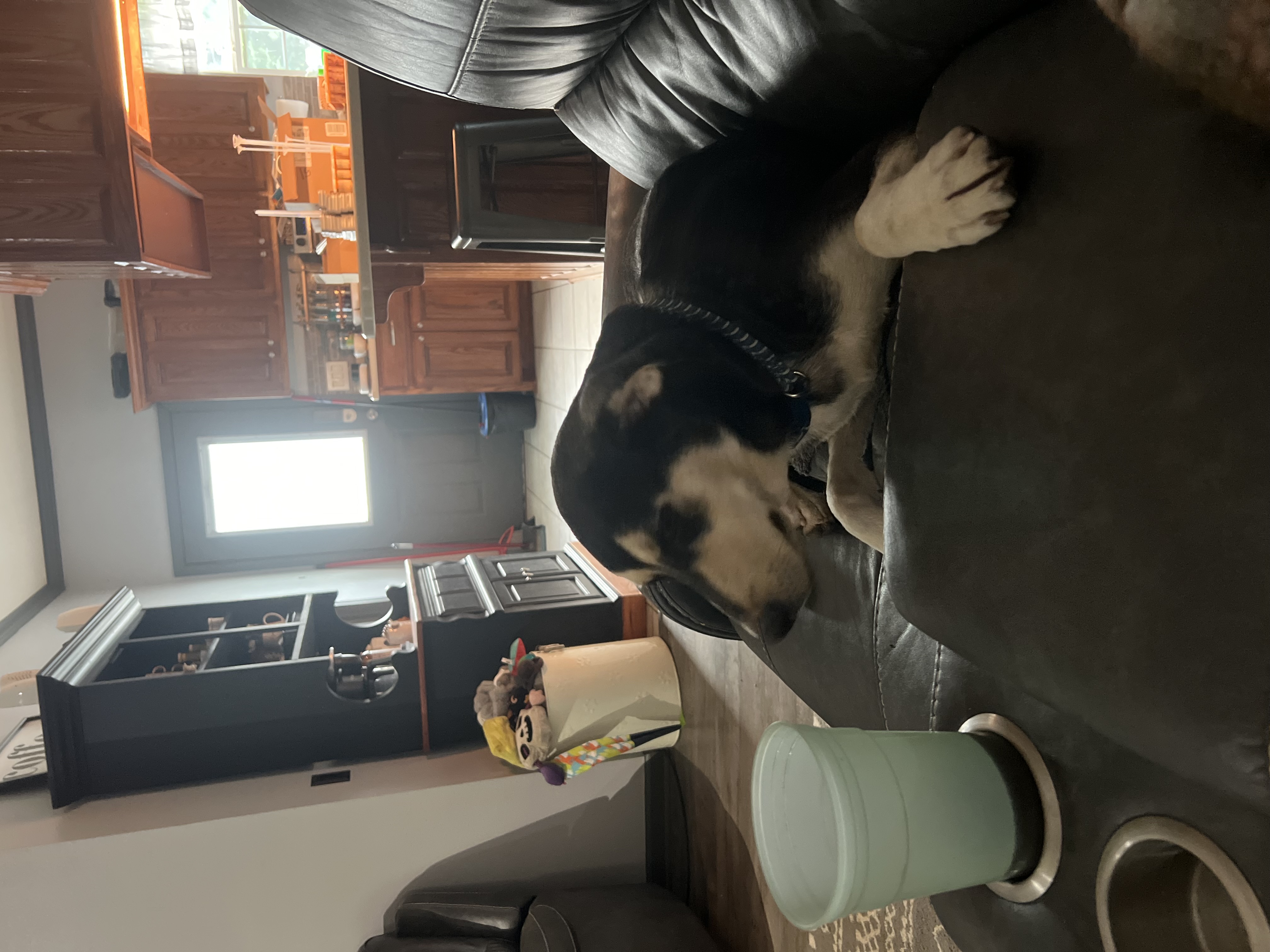Cooper photo 3