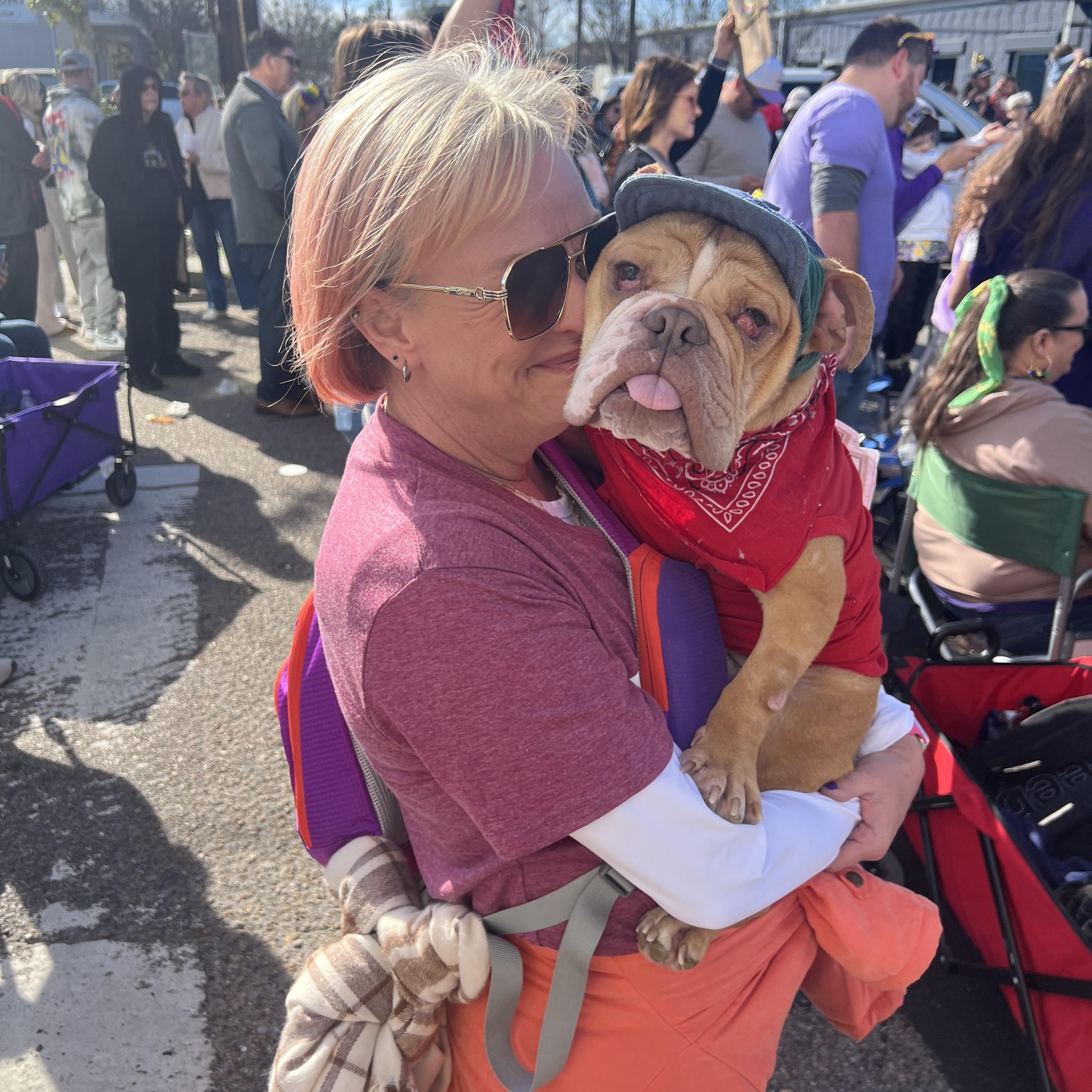 Enlarge Ketchup, a ADOPTABLE English Bulldog in New Orleans, LA image 5/6