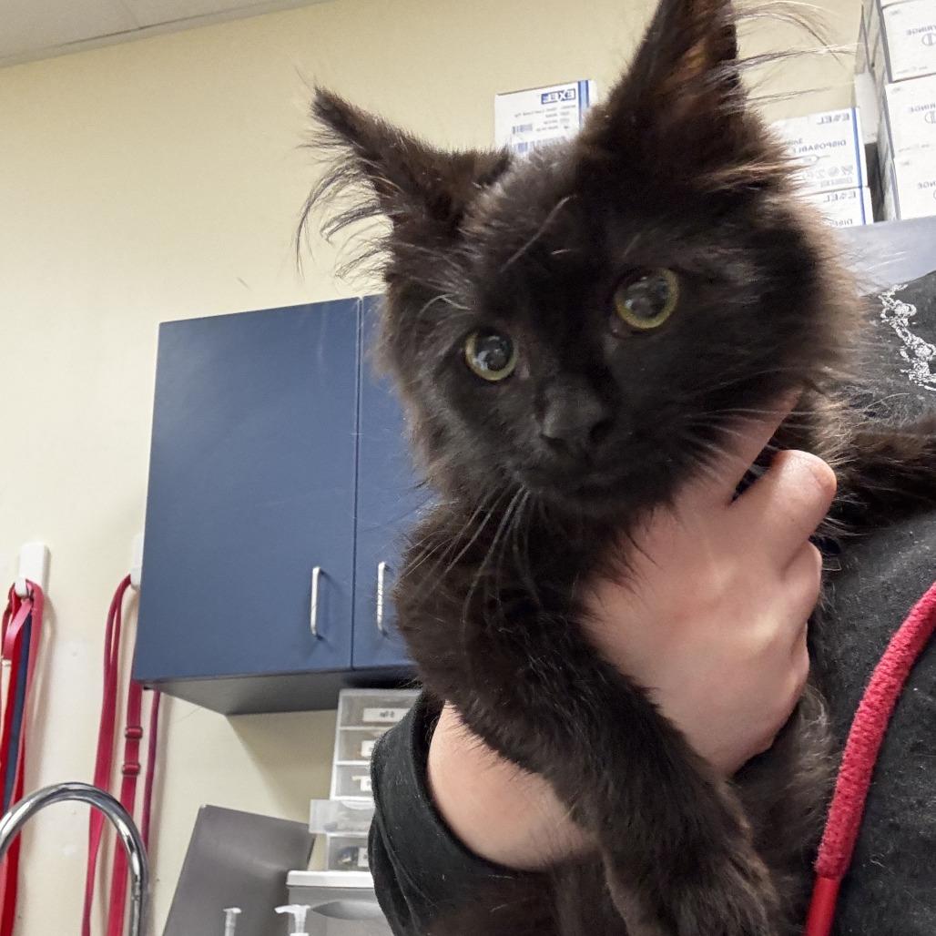 Canyon — thumbnail 2