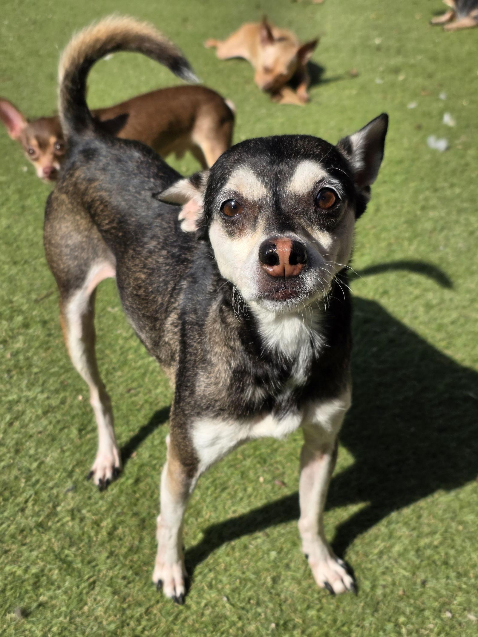 Bruce Barrow — thumbnail 2