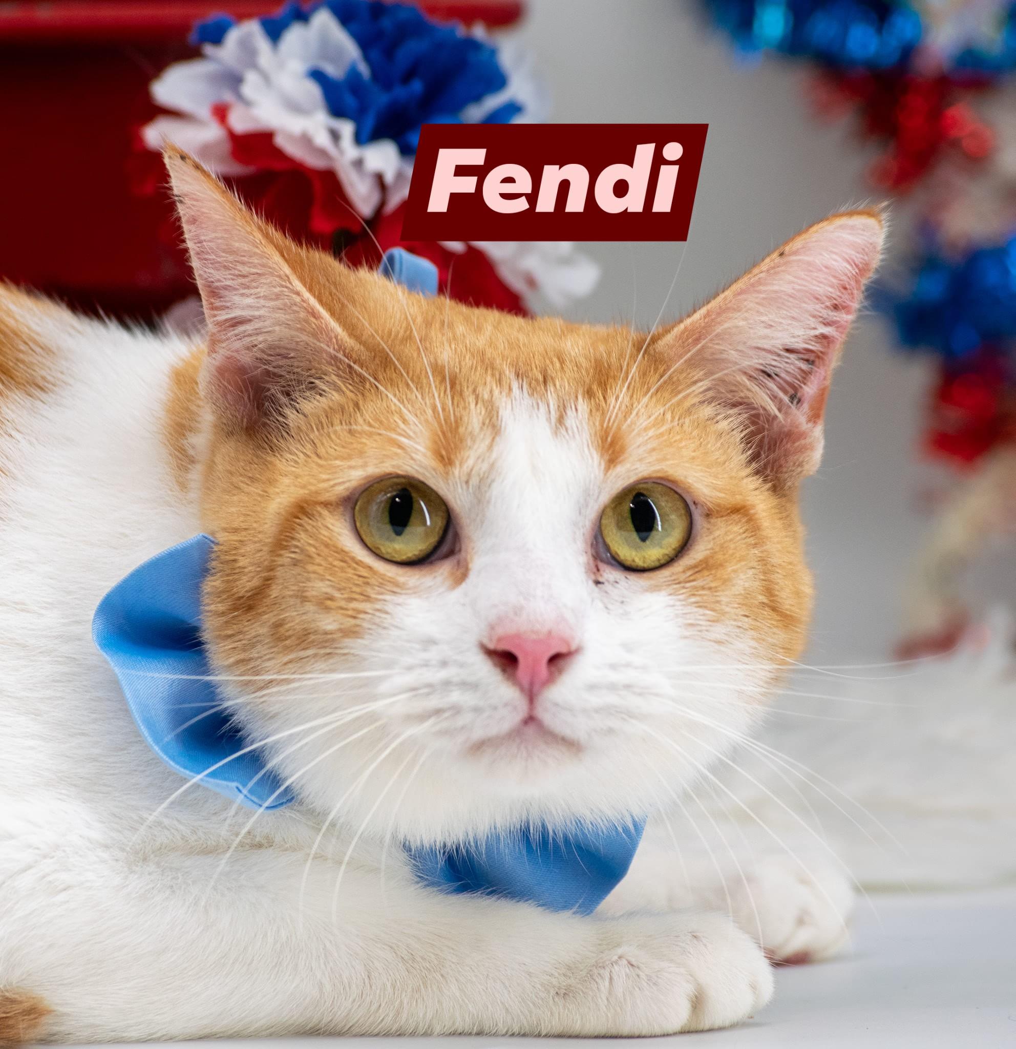 Fendi 3