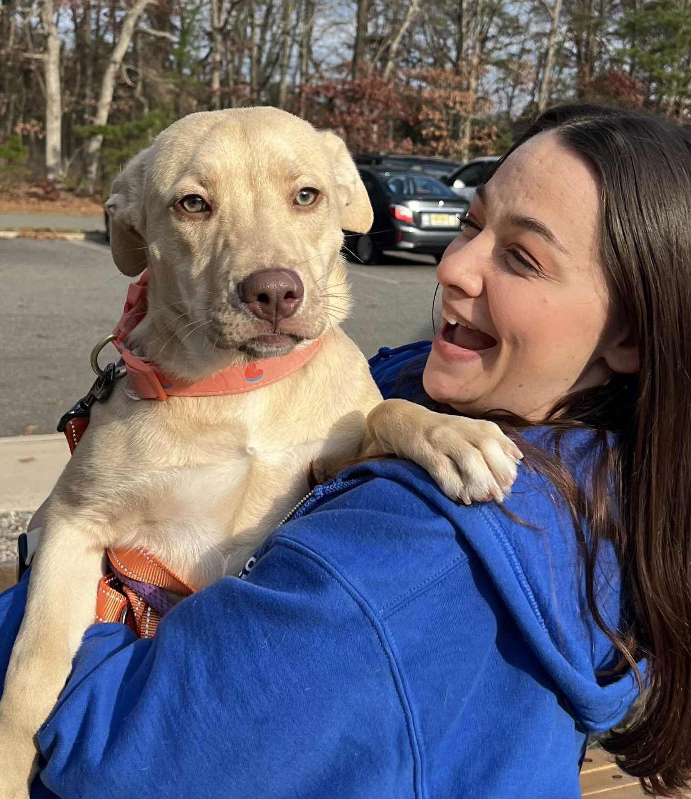 Bernice, a Adoptable mixed breed in Chester, NJ image 3/3