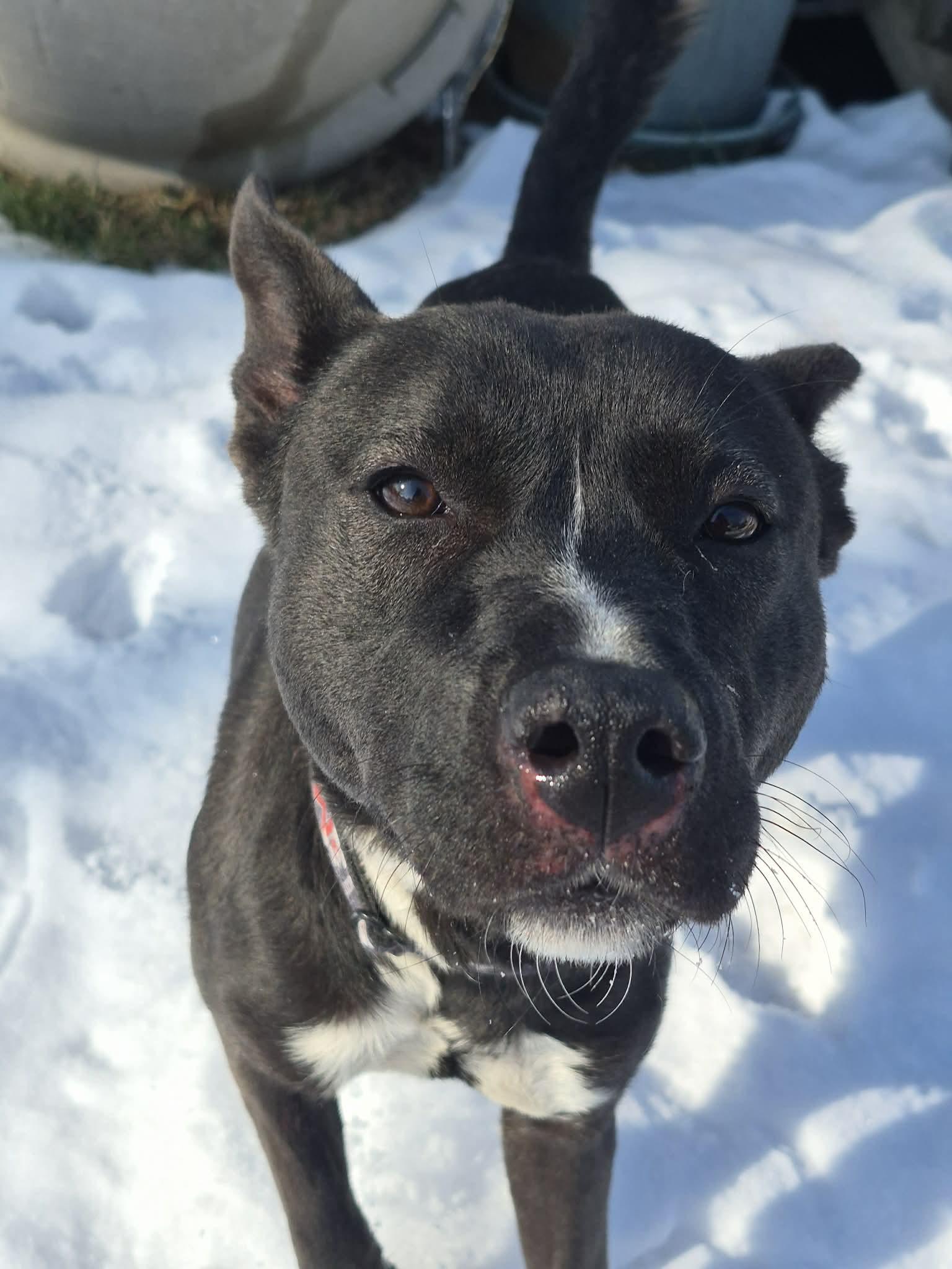 Disney — thumbnail 2