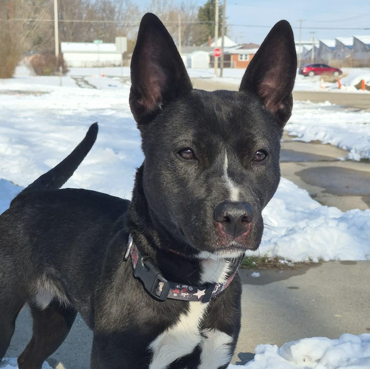 Disney — thumbnail 3