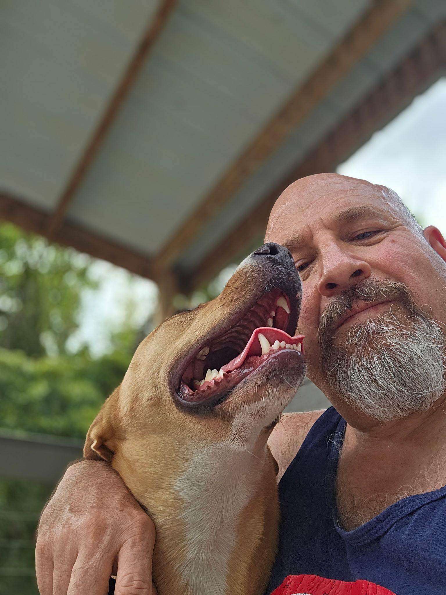 Enlarge ATHENA ….up for any activity!!!, a Adoptable mixed breed in Cantonment, FL image 3/6