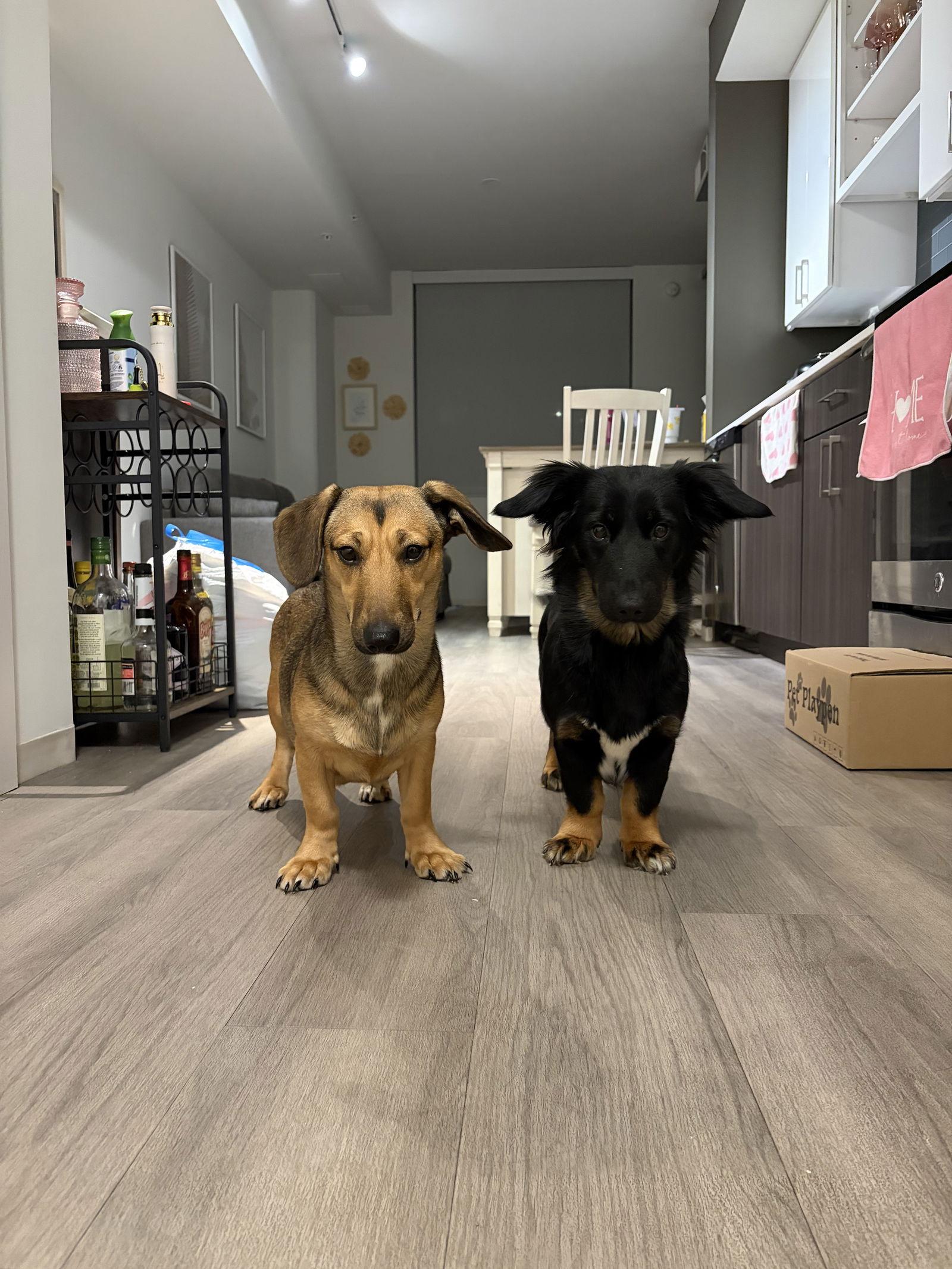 Freya — thumbnail 3