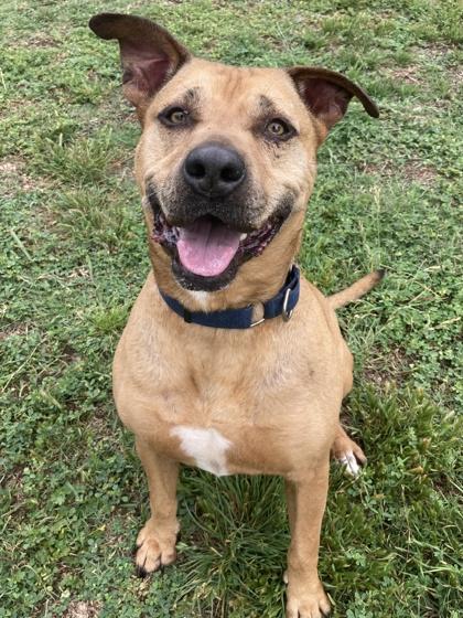 Naco — thumbnail 2